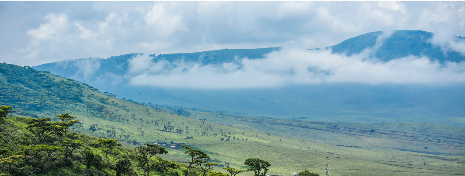 freepik__adjust__39793